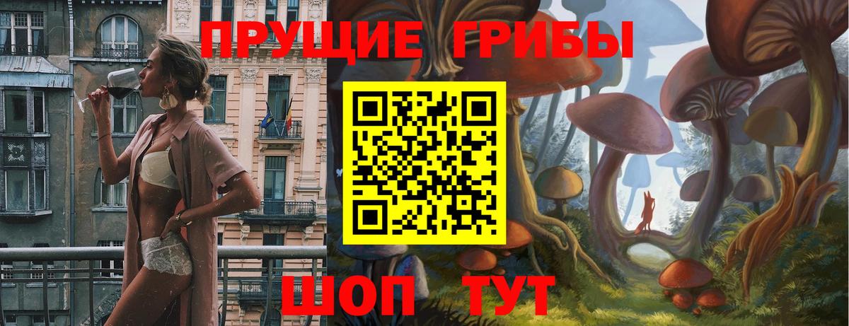 Асино  Галлюциногенные грибы MAGIC MUSHROOMS  Псилоцибиновые грибы мухоморы  закладки  Вход с VPN 